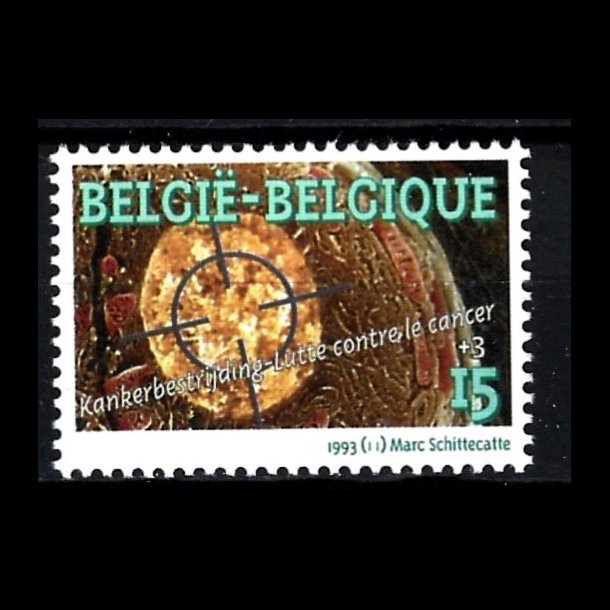 Belgien postfrisk AFA 2580