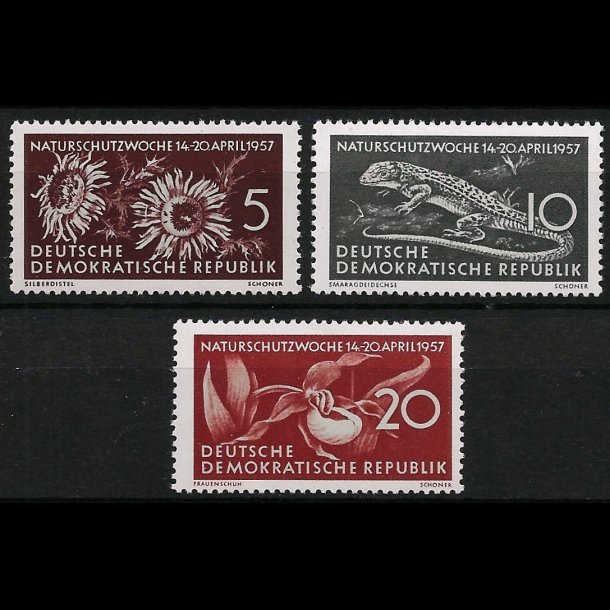 DDR AFA 365-367