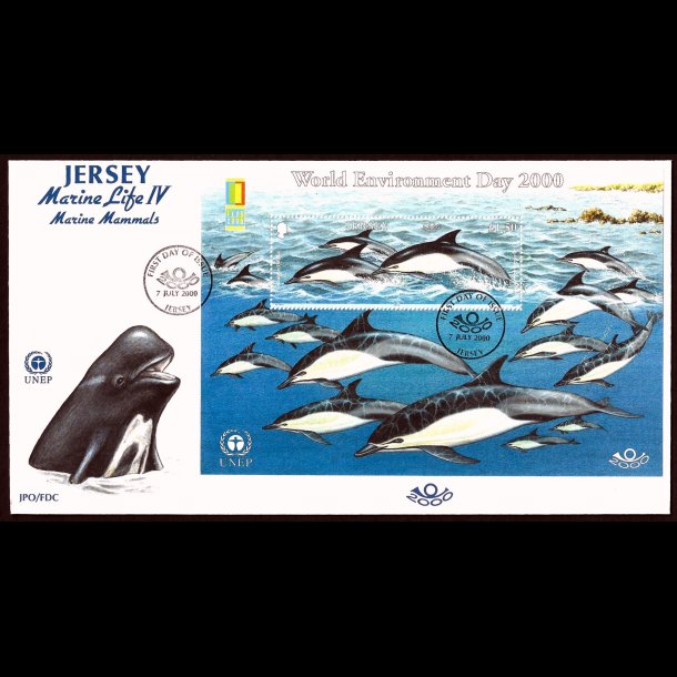 Jersey AFA 934 FDC