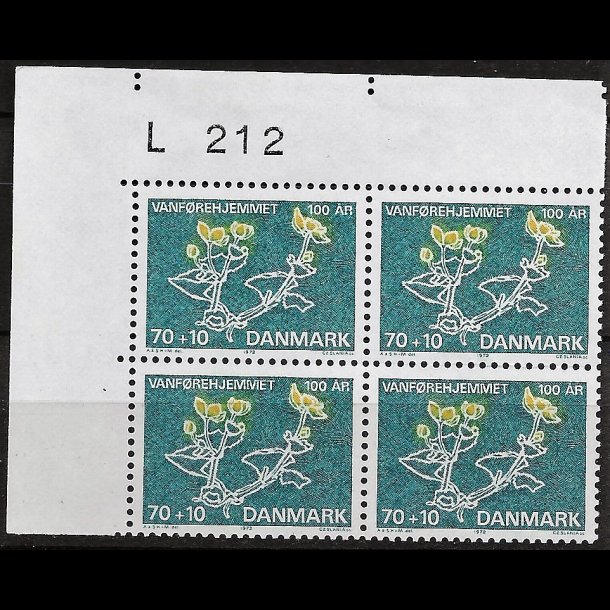 Danmark postfrisk marginalblok L212 