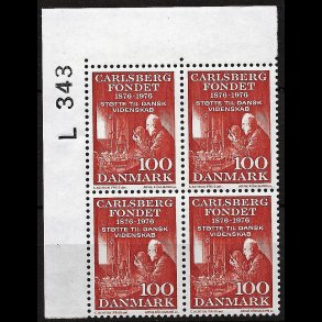 Danmark postfrisk marginalblok L343 