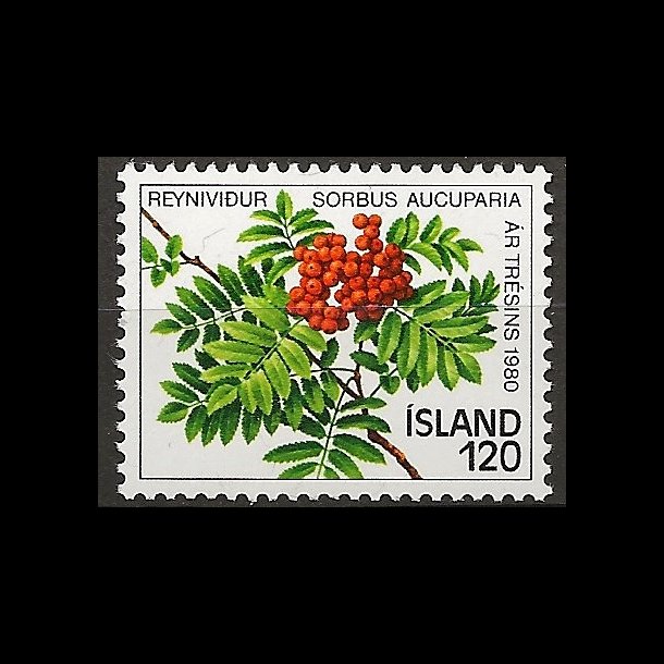 Island postfrisk AFA 555